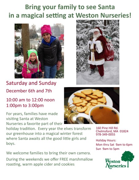 Visit With Santa Flyer Chelmsford-page-0