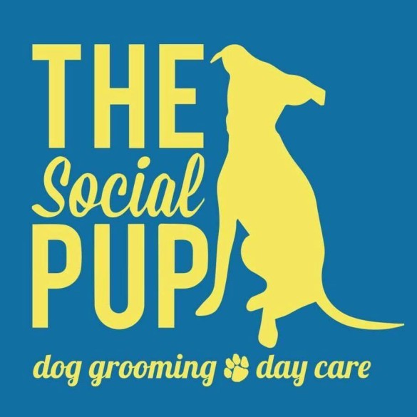 social pup featured